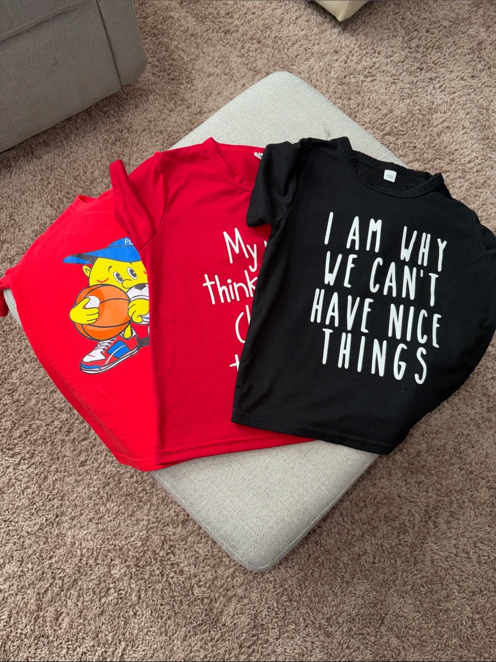 Kids Short Sleeve Graphic Tee - Black "I Am Why We Can't Have Nice Things"